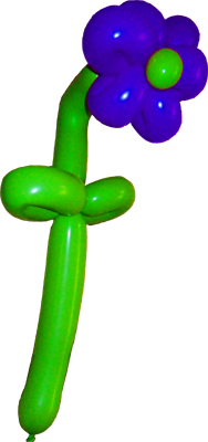 Auch eine ballonblume als geschenk verteilt auf dem strassenfest in pinneberg oder dem stadtfest in itzehoe bzw. der firmenfeier in husum macht gluecklich.