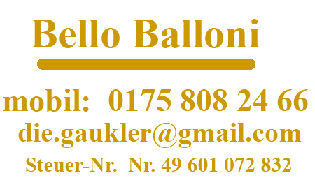 Hotline zum kinderclown, kinderzauberer und luftballon-unterhalter aus hamburg.